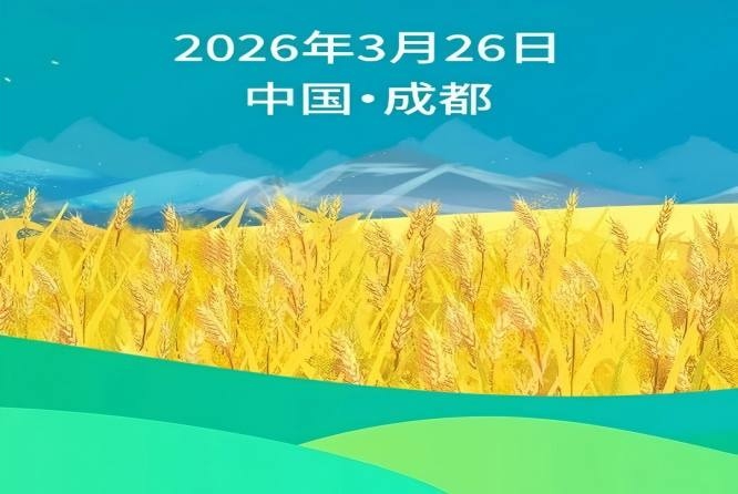 新闻资讯